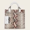 New Cuadra Full Exotic White Leather Handbag